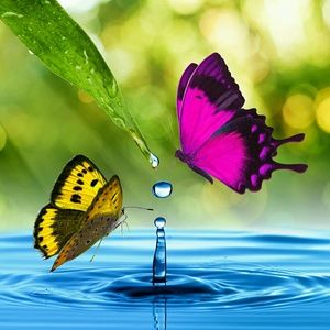 Meet your Posher, Tracie